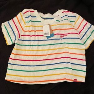 dickie’s rainbow tee crop top